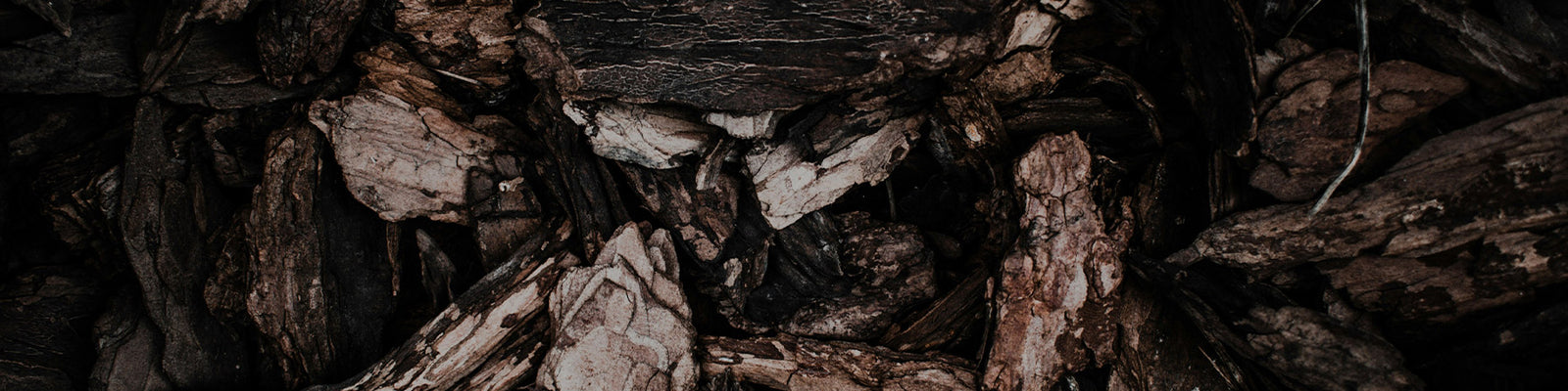 Woods - Dark & Spicy