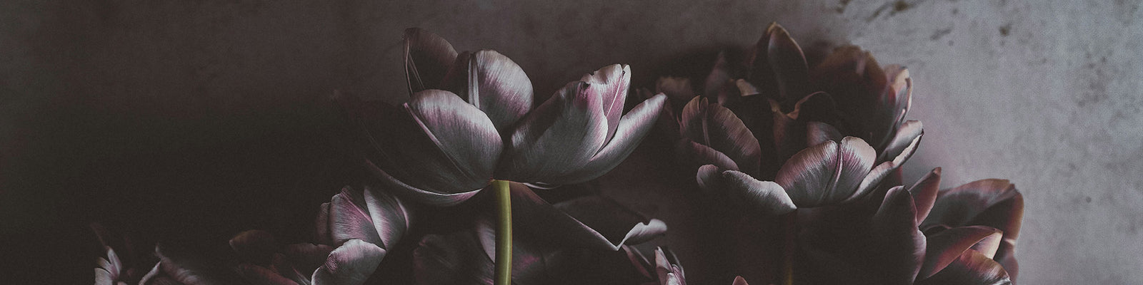 Floral - Dark, Spicy, & Earthy Florals