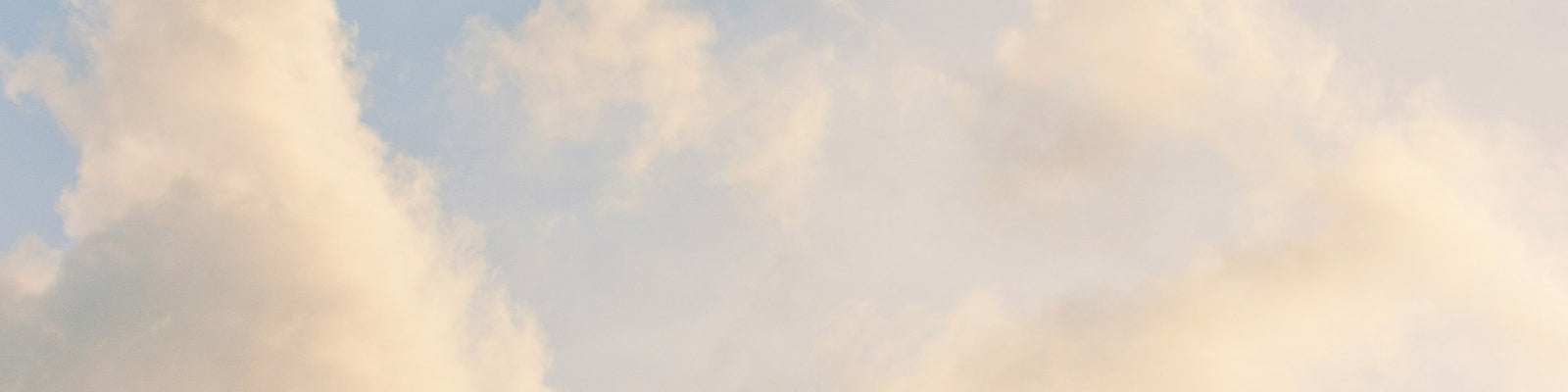 Fresh, Clean, Ozonic, Aldehydic