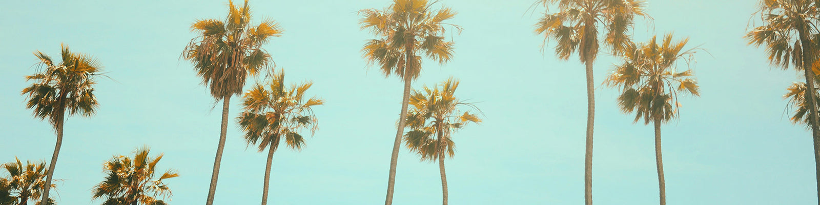 Tropical, Beachy, & Aquatic